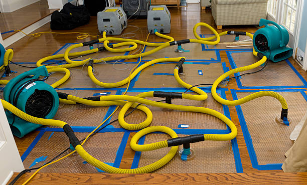 Professional Basement Flood Cleanup technician working in Wonder Lake, IL